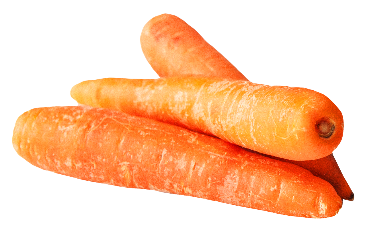 Carrot PNG Image   HD Free Download