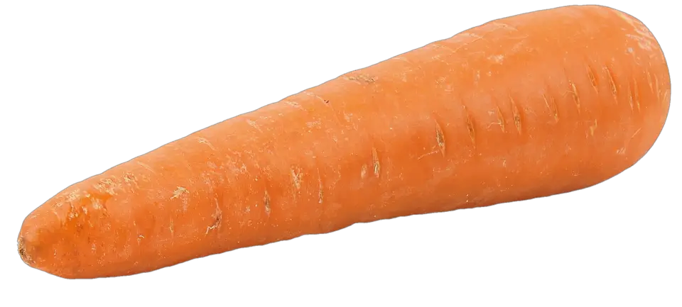 Carrot PNG Transparent Images   HD Free Download