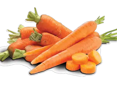Carrot Products Ansfoods Page HD Free Download