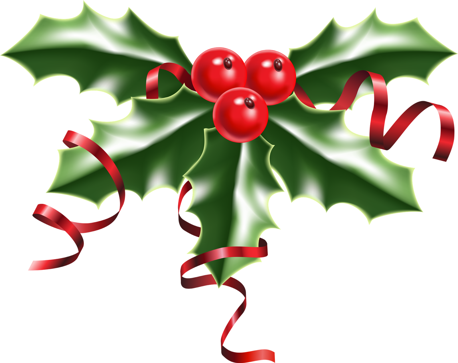 Christmas Holly  HD Free Download