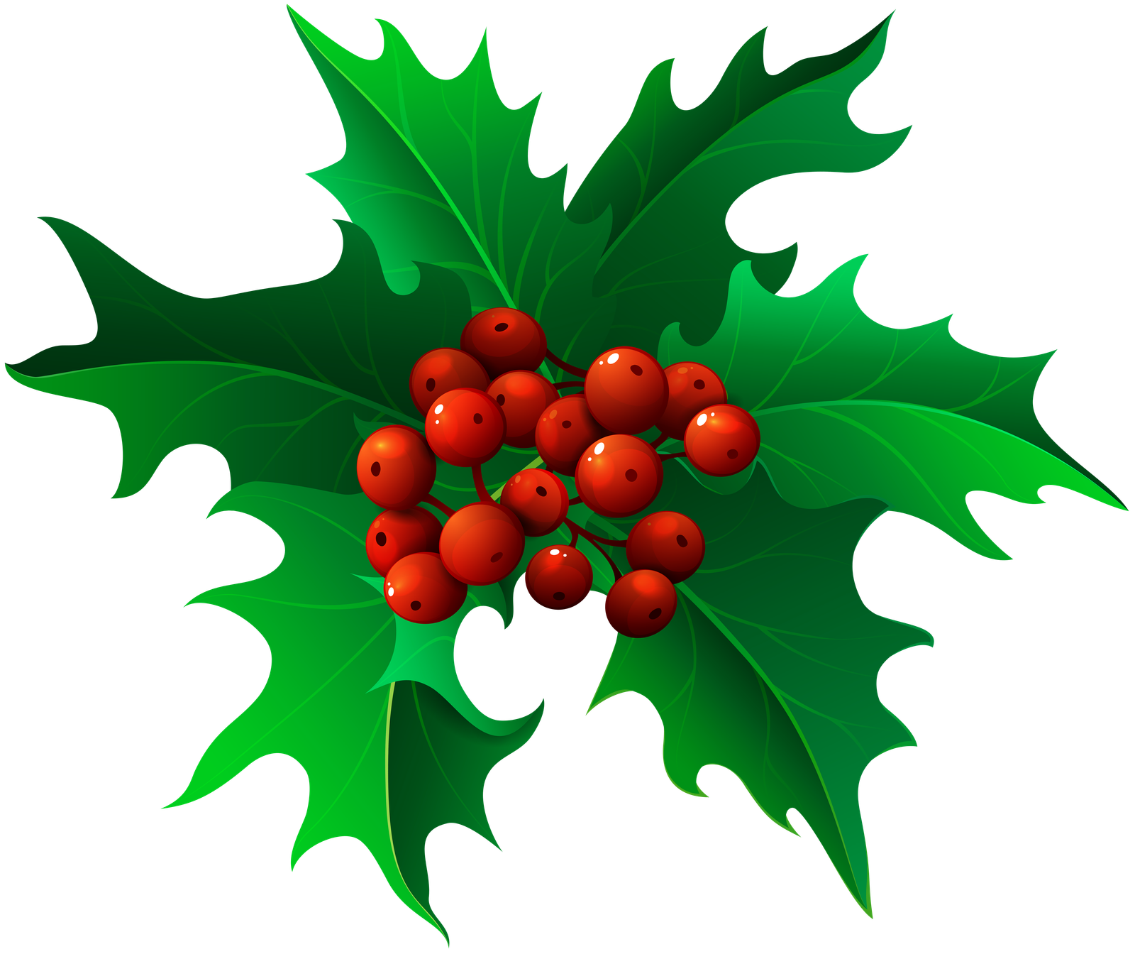 Christmas Holly Mistletoe Transparent PNG Clip Art  HD Free Download