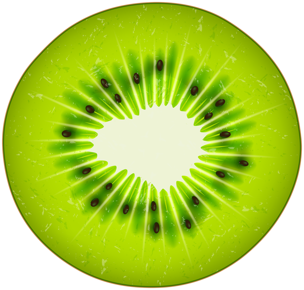 Circle Kiwi Transparent PNG Clip Art Image Gallery  HD Free Download