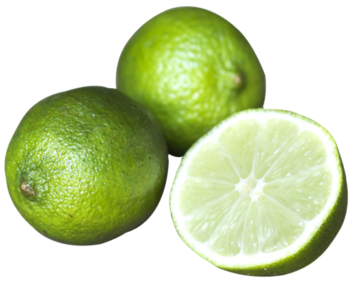 Citrus Lime Fruit PNG Image   HD Free Download