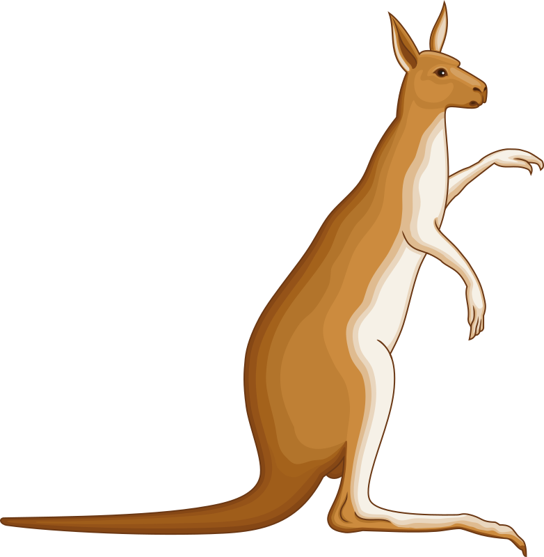 Clipart Kangaroo  HD Free Download
