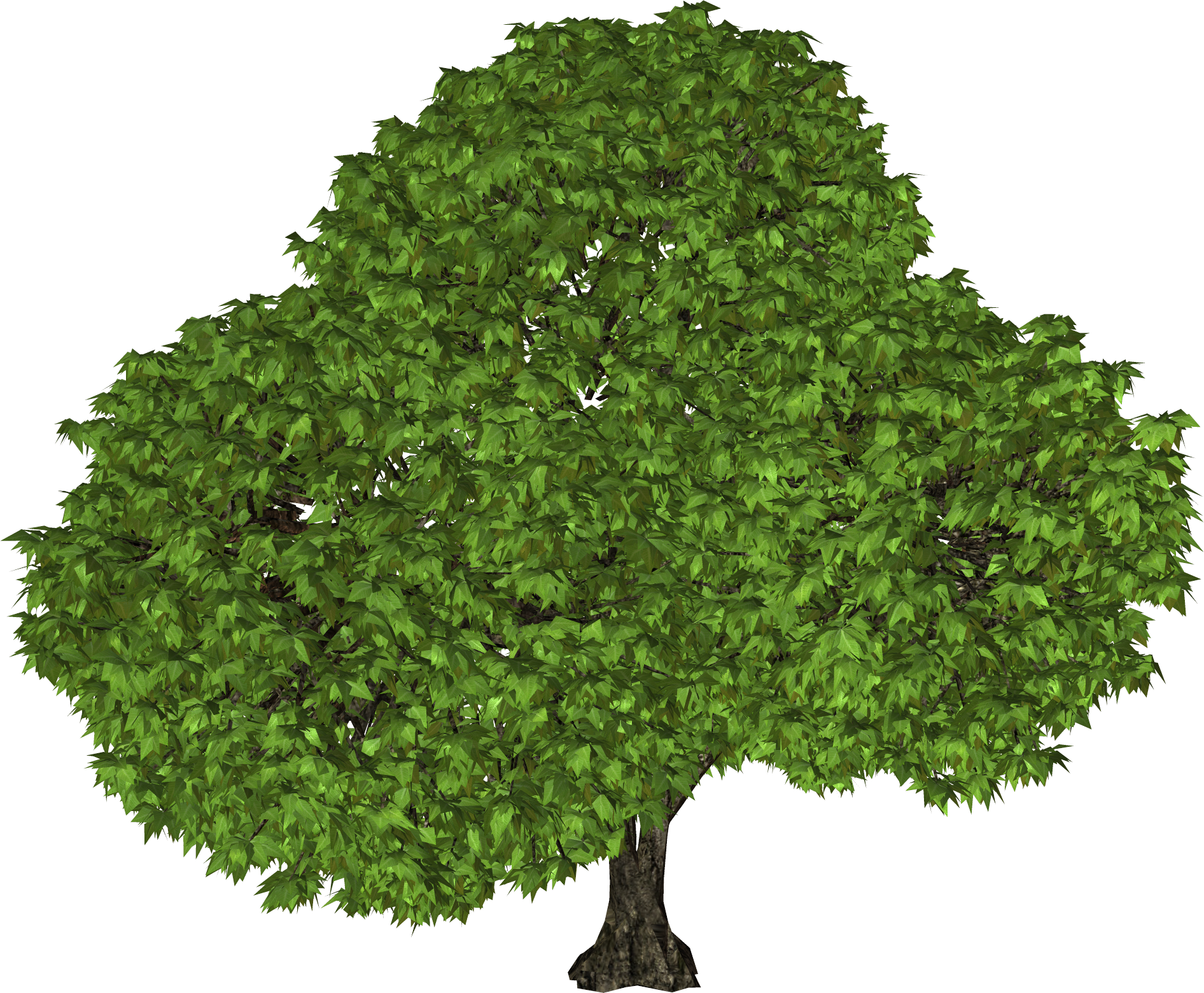 Tree Clipart Picture  HD Free Download