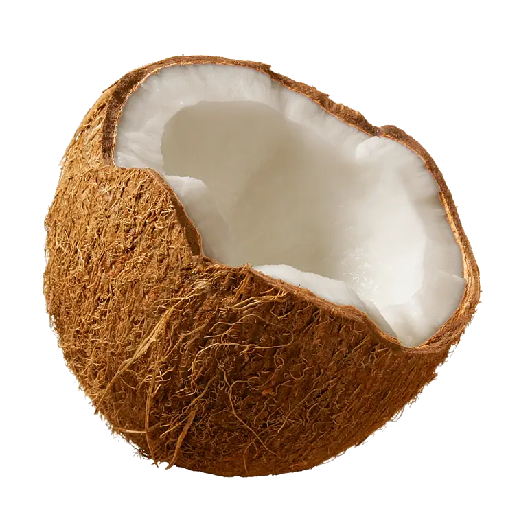 Coconut Images  HD Free Download