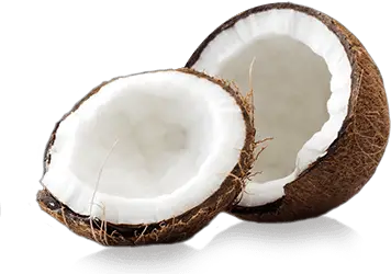 Coconut Milk Clip Art Images  HD Free Download