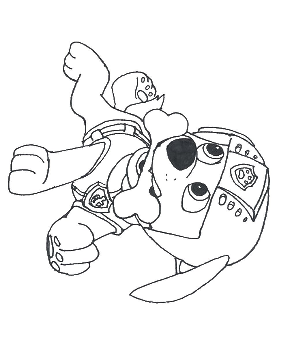 Coloring Pages Of Paw Patrol Raul  HD Free Download