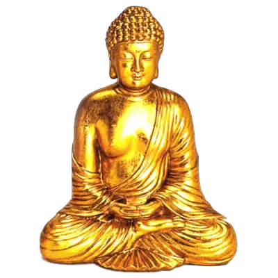 Colourful Buddha Transparent PNG Stickpng  HD Free Download