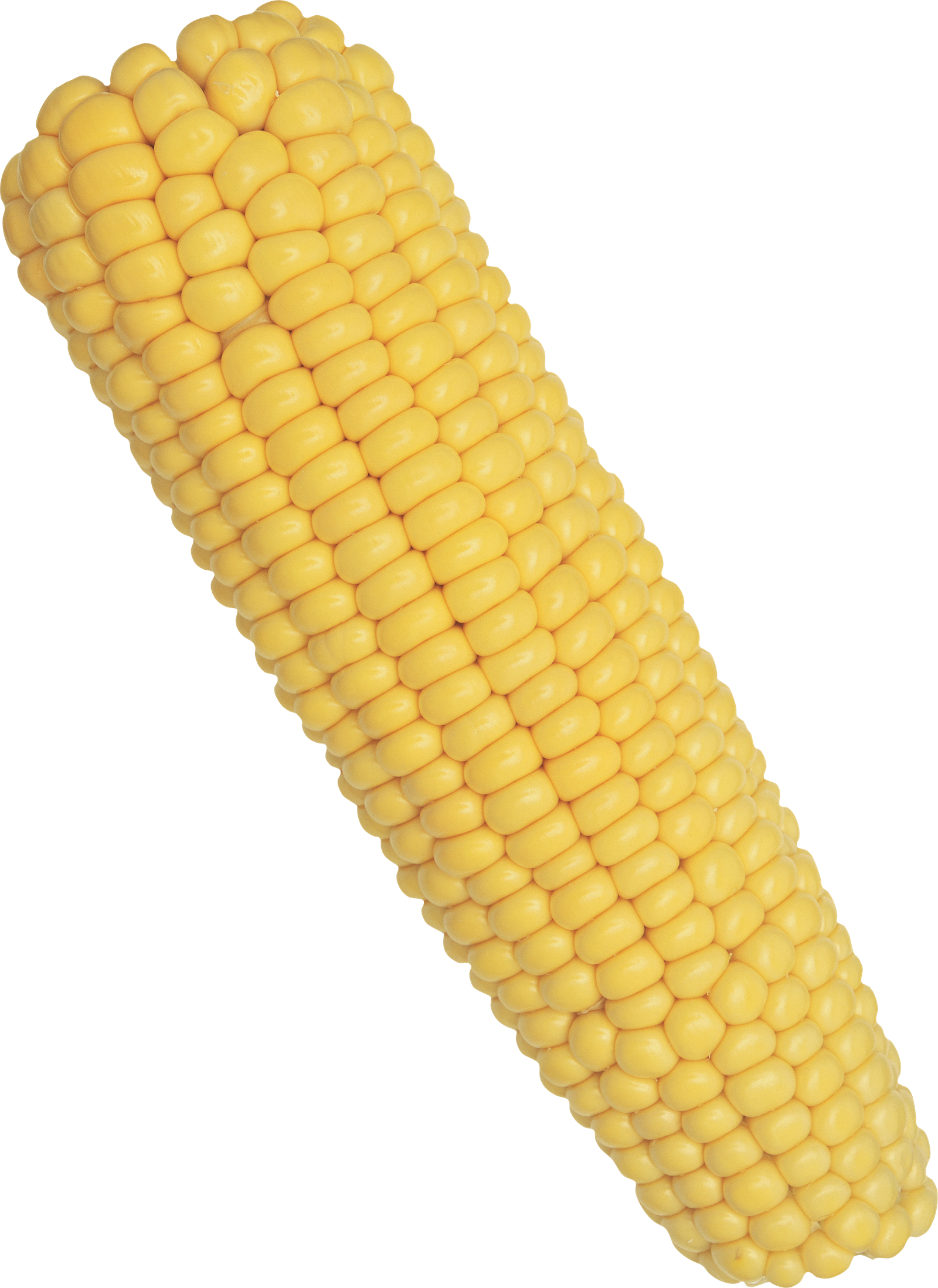 Corn PNG Images For Crazypngm Crazy  HD Free Download