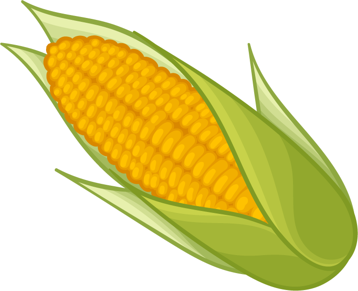 Corn PNG Transparent Images   HD Free Download