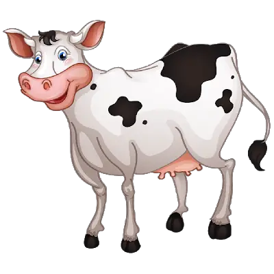 Cow Funny Farm Feed Folks Alaskan Farming  HD Free Download