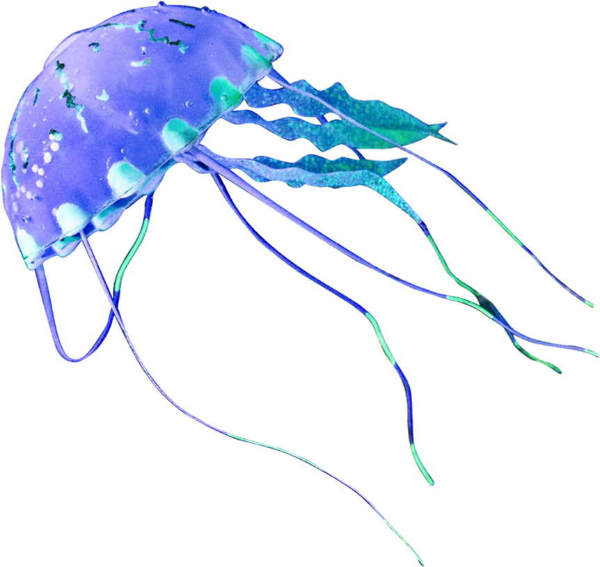 Create Quot Flying Jellyfish Quot Photo Effect Photoshop Psd  HD Free Download