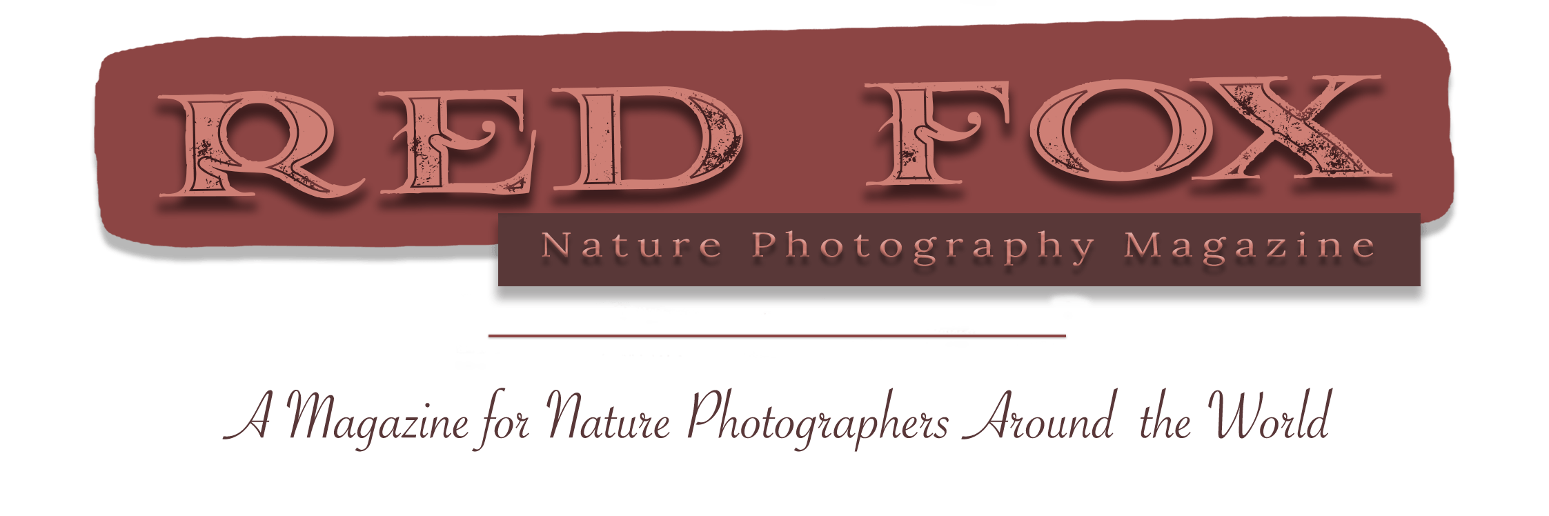 Cropped Logo Website Red Fox Nature Photography  HD Free Download