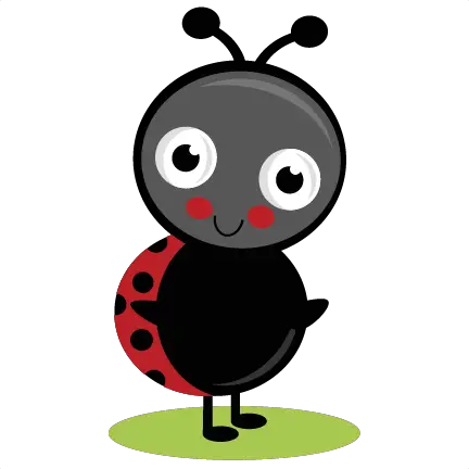 Cute Ladybug Quotes Quotesgram  HD Free Download