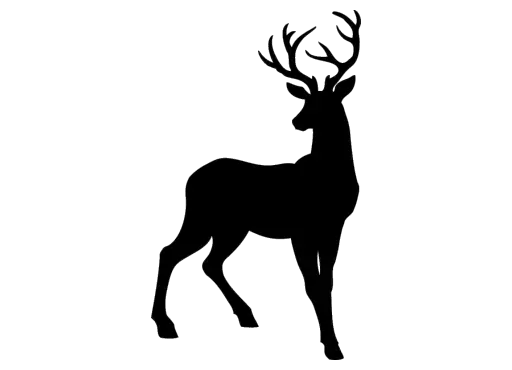 Deer Printer Friendly Manley Meats  HD Free Download