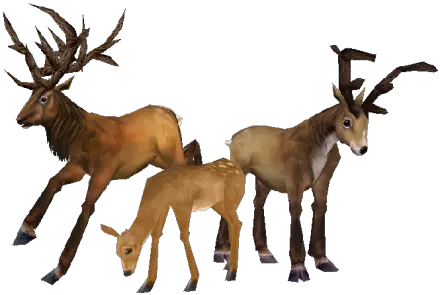 Deer Wowpedia Your Wiki Guide The World Warcraft  HD Free Download
