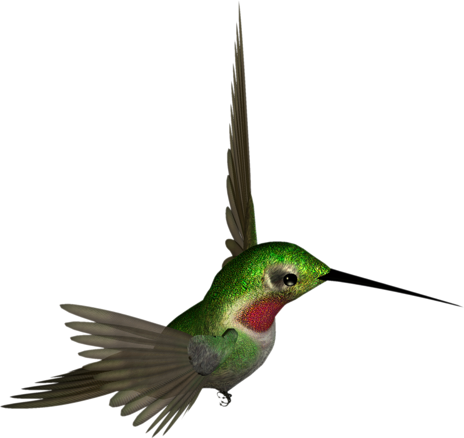 Digital Scrapbooking Tools And Hummingbird Clipart  HD Free Download