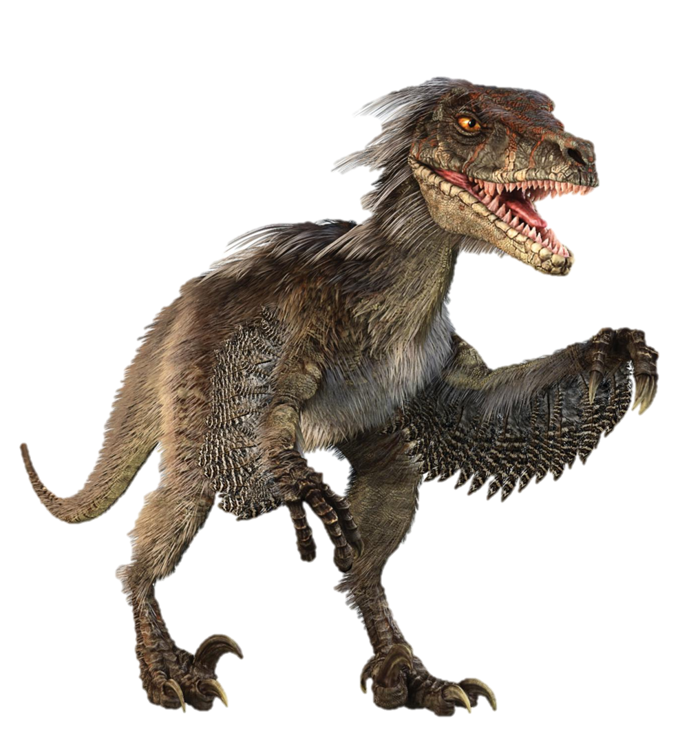 Dinosaur Learn About The Velociraptor One Jurassic World Main  HD Free Download