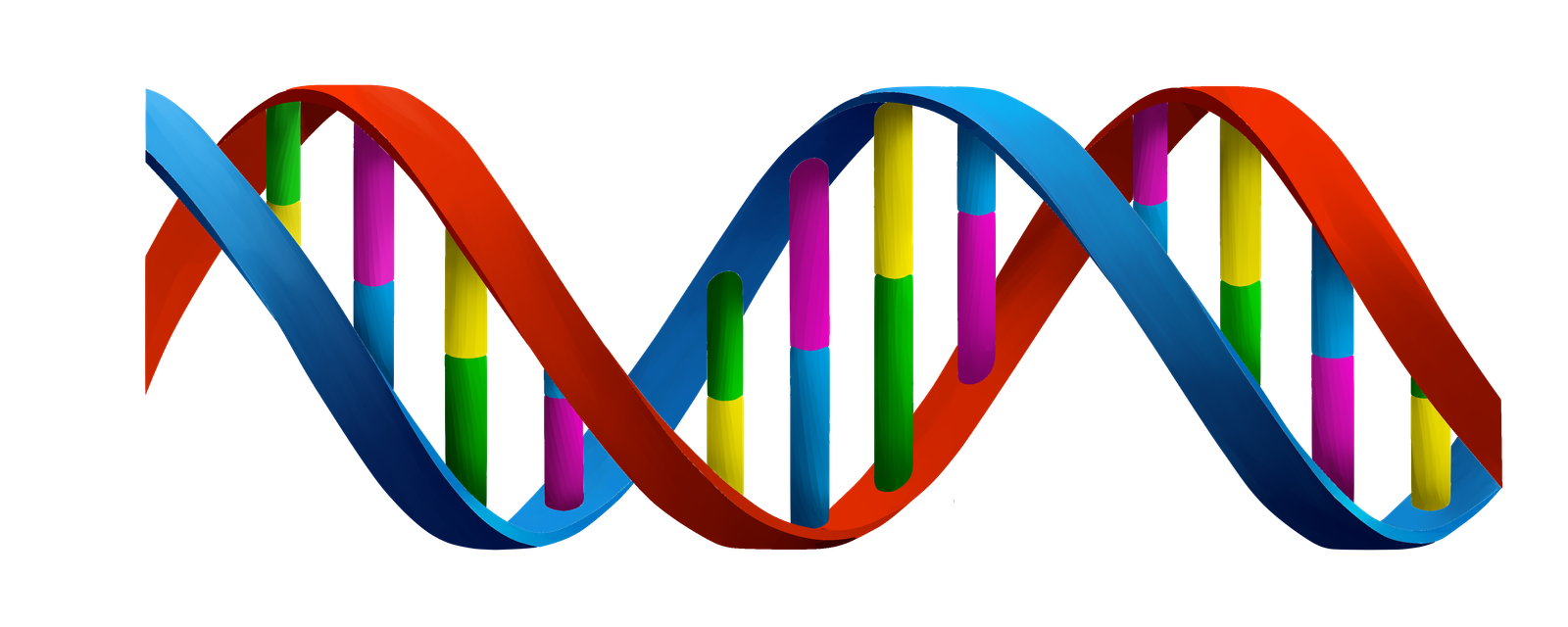 Dna Thyroid Cancer Molecular Markers Blood Sample  HD Free Download