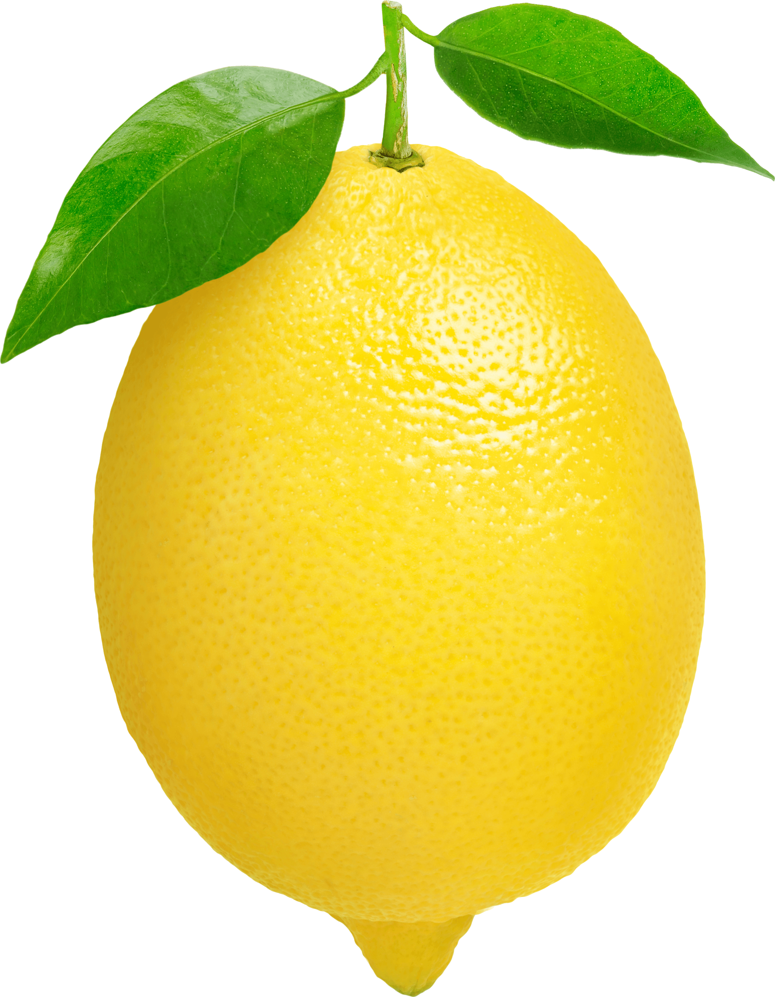 Lemon PNG Image HD Free Download