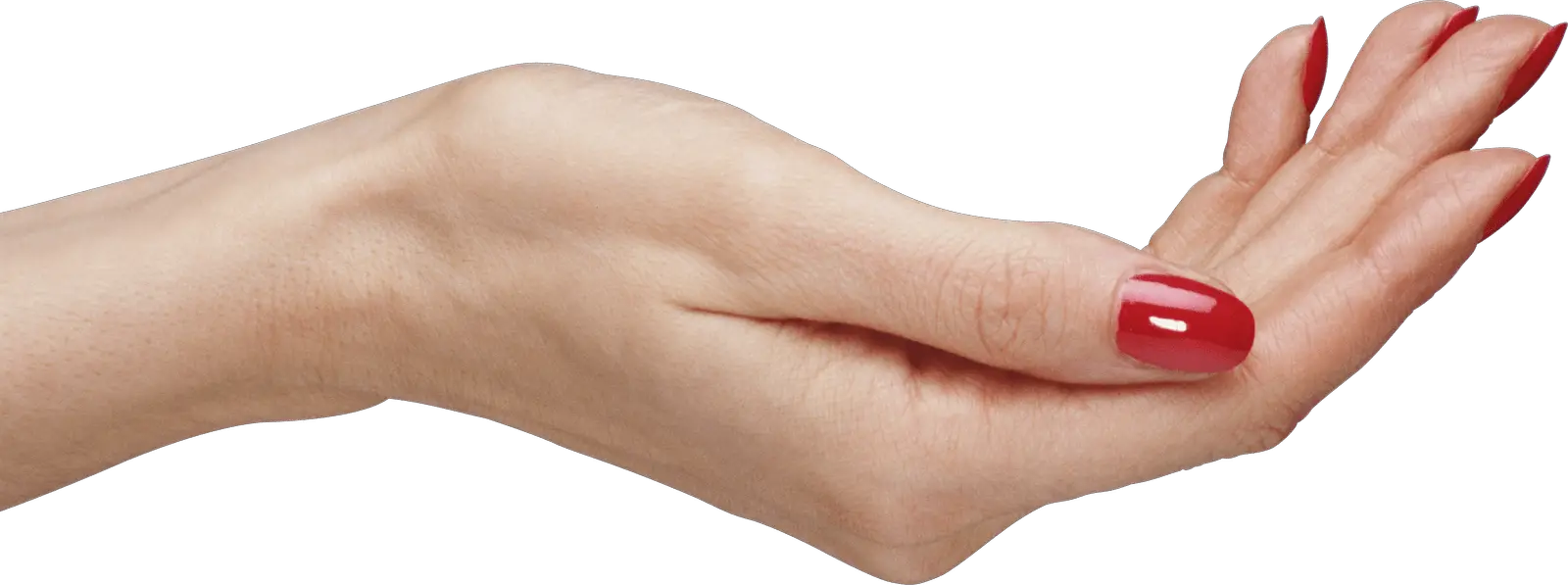 Palm Hands PNG Hand Image PNG Image   HD Free Download
