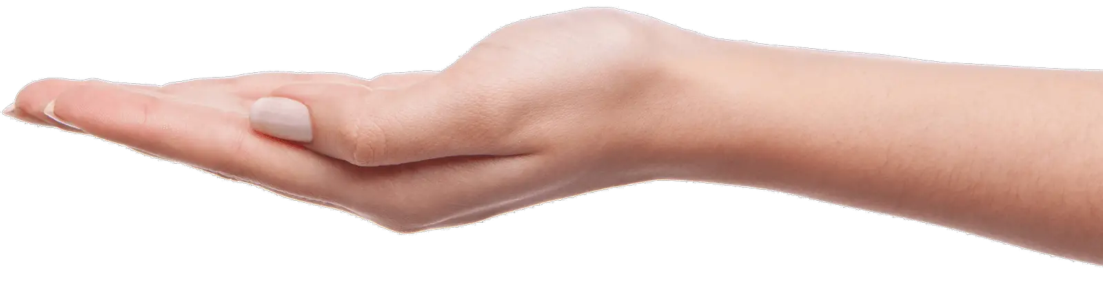 Palm Hands PNG Hand Image PNG Image   HD Free Download
