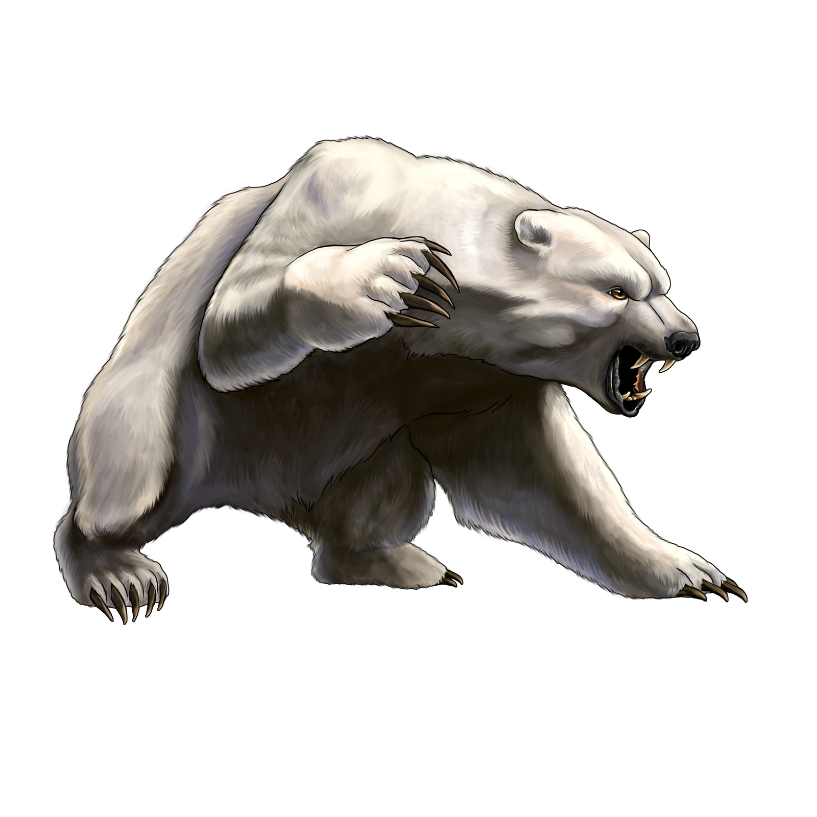 Polar Bear PNG Transparent Images Transparent Backgrounds PNGriver Com Sun Bear  HD Free Download