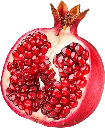 Pomegranate PNG Image PNG Image   HD Free Download