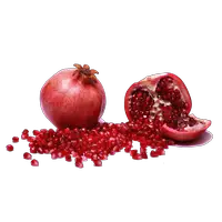 Pomegranate PNG Photo Images And Clipart  HD Free Download