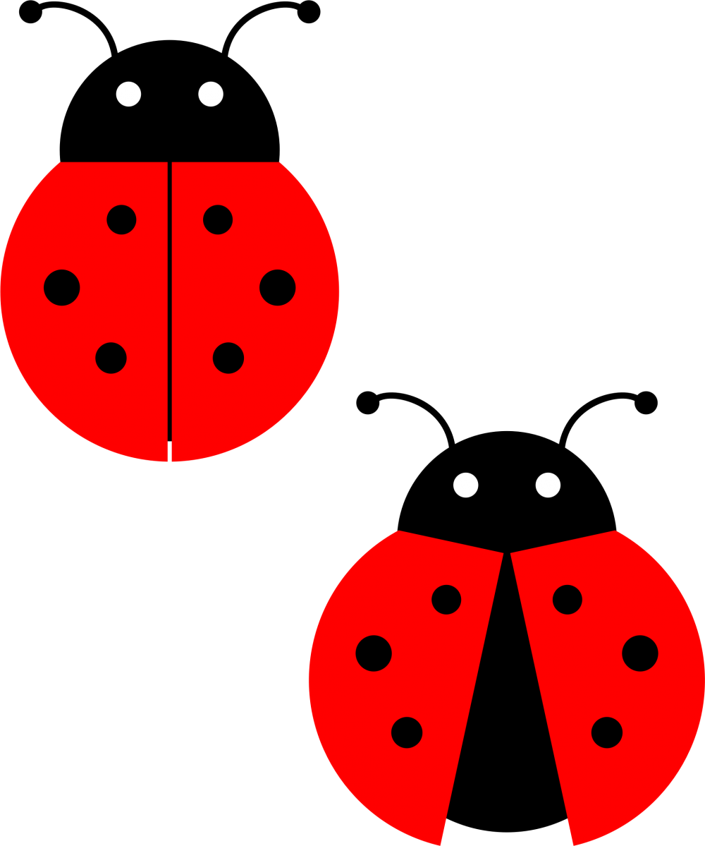 Red Ladybug PNG Photos For Designing Purpose Transparent PNG Images Icons And  HD Free Download