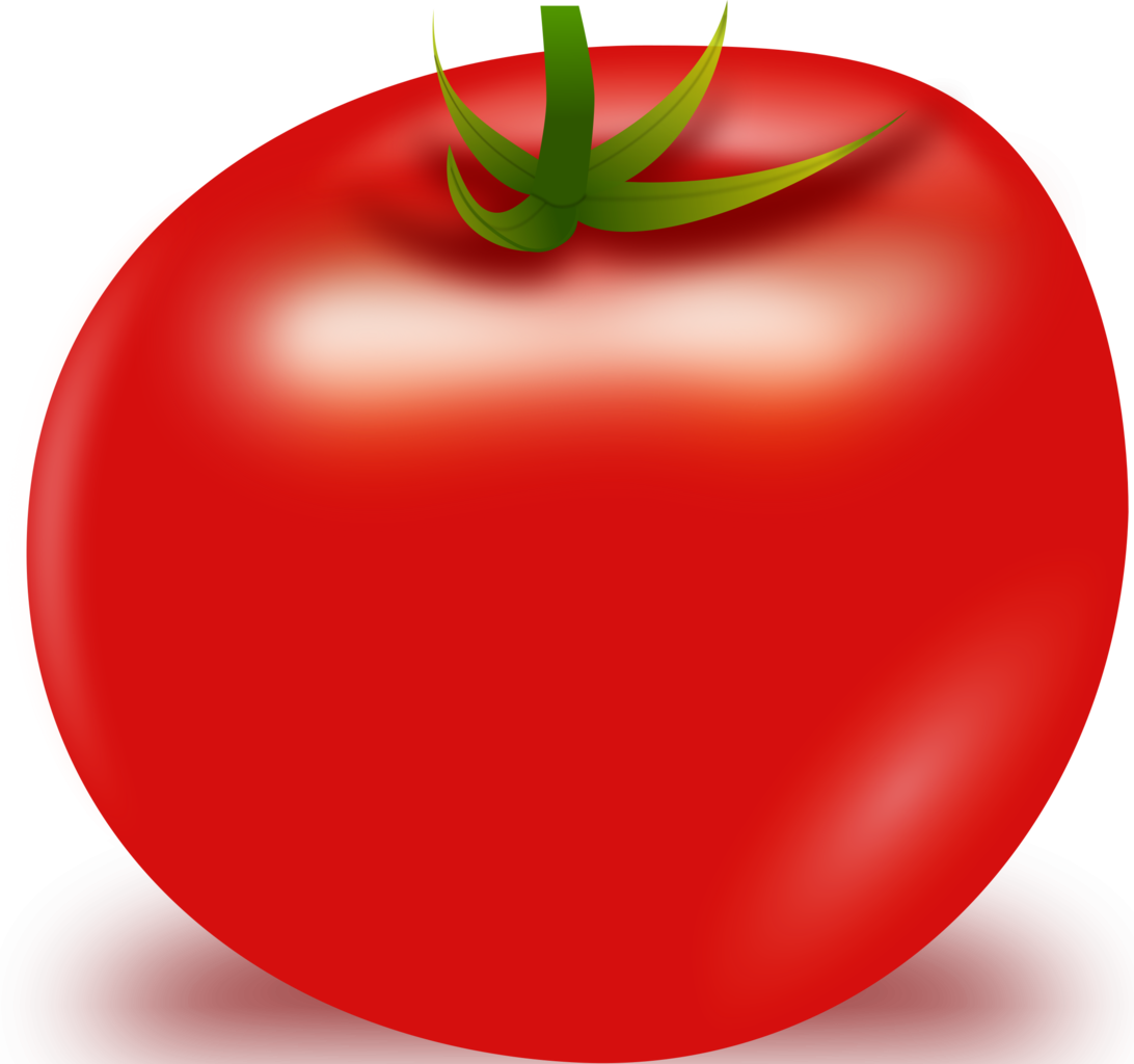 Tomato Vector PNG Image   HD Free Download
