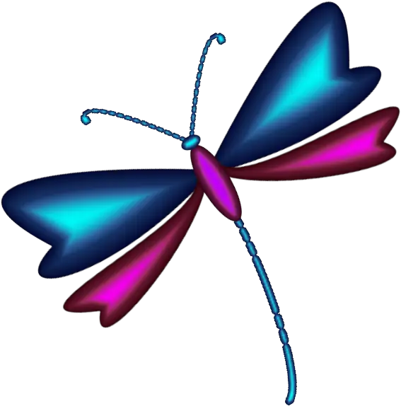 Dragonfly Gifs Random Girly Graphics  HD Free Download