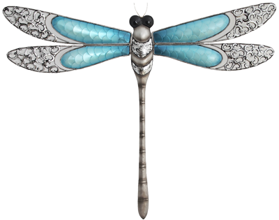 Dragonfly Hypnosis Over Easy Shreveport Louisiana Clinical  HD Free Download