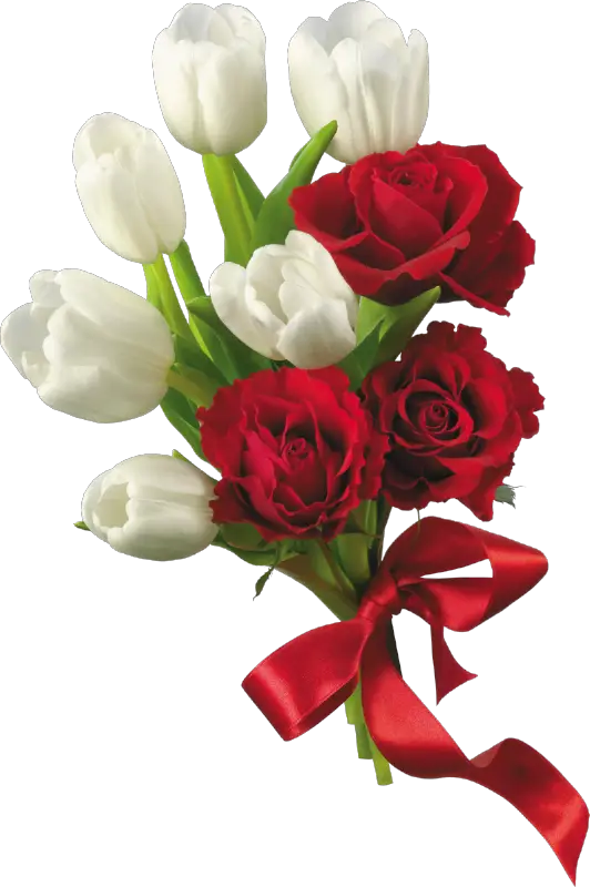 Dream Wedding Flower Bouquet Red And White Rose  HD Free Download