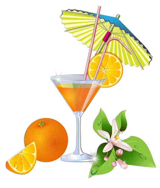 Drinks Summer Orange Cocktail PNG Clipart Gallery   HD Free Download
