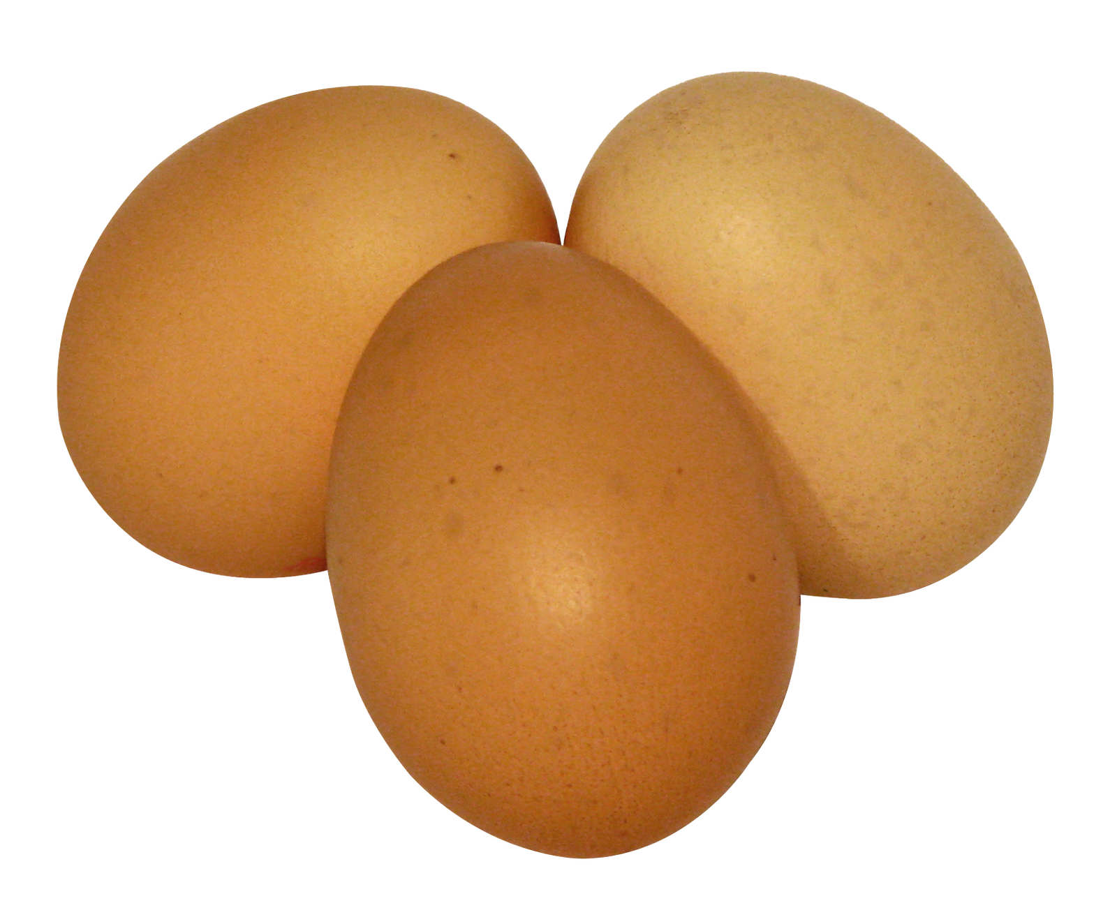 Egg Eggs PNG Transparent Image   HD Free Download