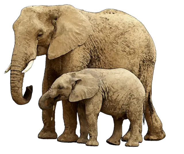 Elephant Mom And Baby Animal Clipart Clipart Suggest  HD Free Download