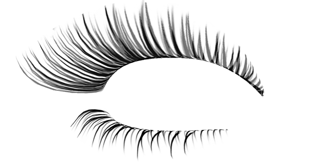 Eyelashes Clipart Natural Eyelashes Natural Transparent  HD Free Download