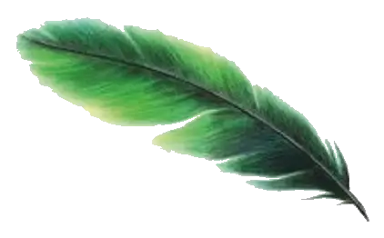Feather Mutarakwa Hosting Domain Email Web Registration  HD Free Download