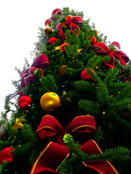 File Christmas Tree Sxc PNG Transparency HD Free Download
