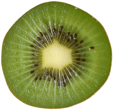 Transparent Demi Kiwi Image   HD Free Download