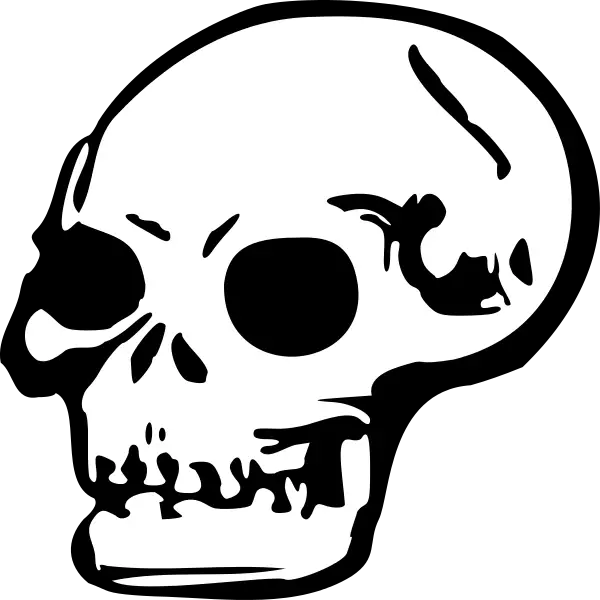 File Skull Svg Wikipedia  HD Free Download