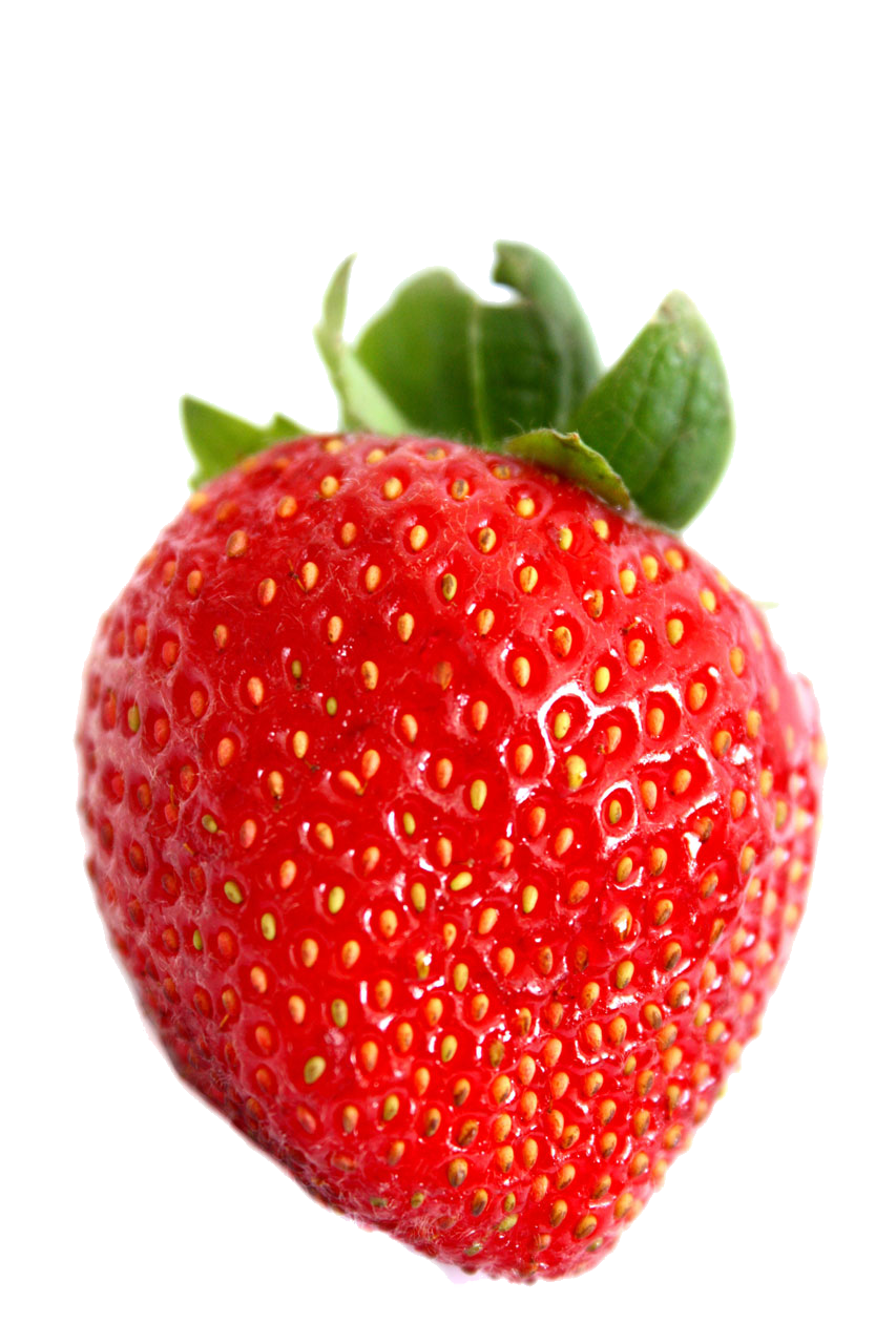 Transparent Fresh Red Strawberry  HD Free Download