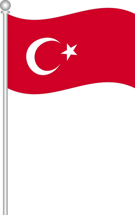 Flag Turkey Turkish World Vector Graphic Türk Bayrağı  HD Free Download