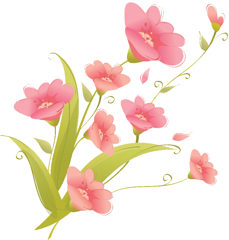 Flores Ilustraciones PNG Para Artesan Eda Dise Primavera  HD Free Download