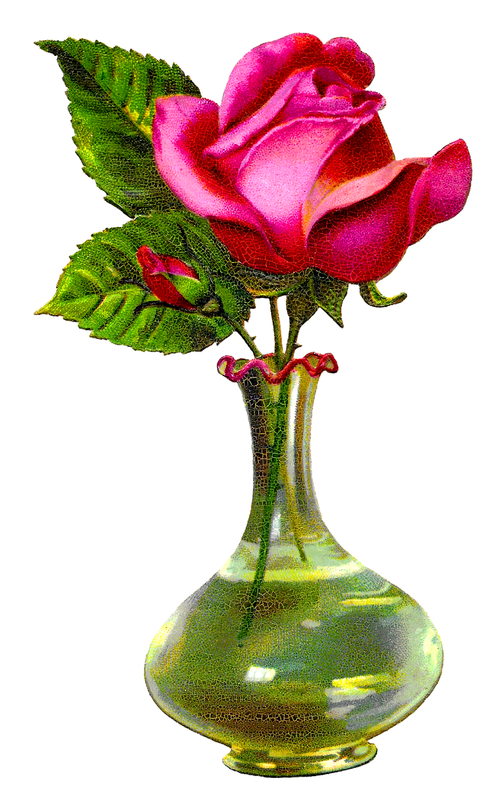 Flower Vase Antique Images  HD Free Download