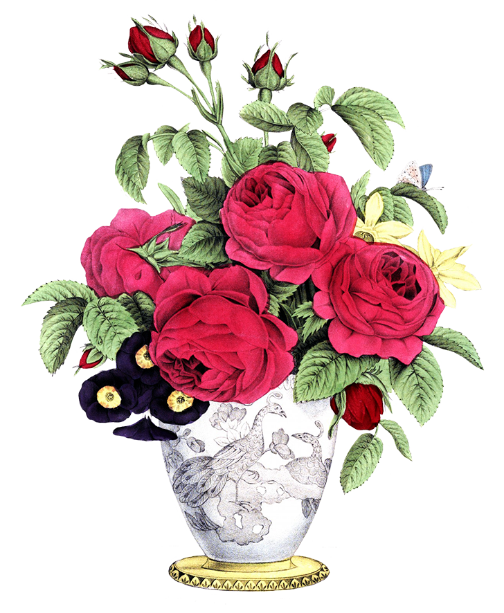 Flower Vase Flower Clipart  HD Free Download