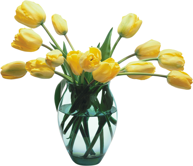 Flower Vase Glass Vase With Yellow Tulips Gallery High Quality Images And Transparent PNG  HD Free Download