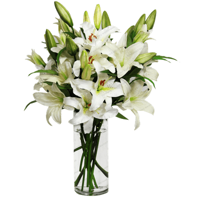 Flower Vase Lilies Vase Transparent PNG Stickpng  HD Free Download